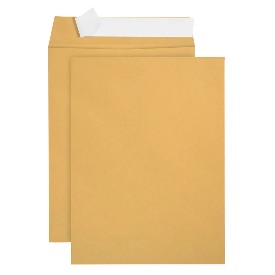 Blue Summit Supplies Catalog Envelopes, 6" x 9", Kraft, Self Seal, 100/Pack