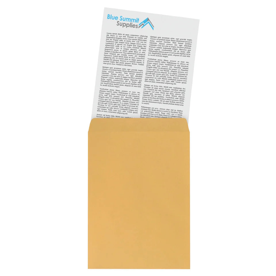 Blue Summit Supplies Catalog Envelopes, 6" x 9", Kraft, Self Seal, 100/Pack