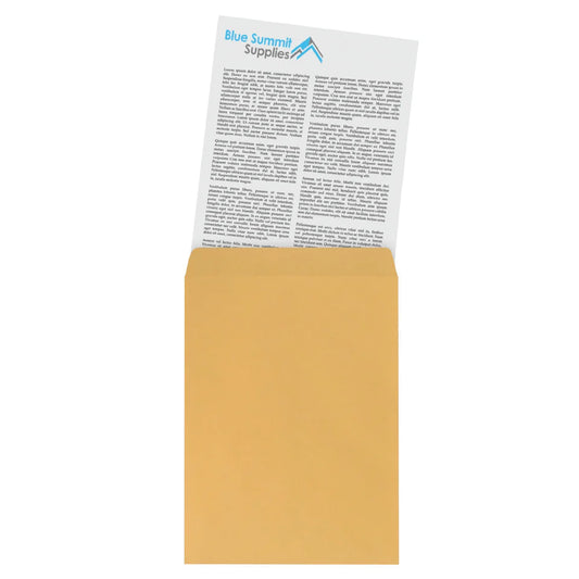 Blue Summit Supplies Catalog Envelopes, 6" x 9", Kraft, Self Seal, 100/Pack